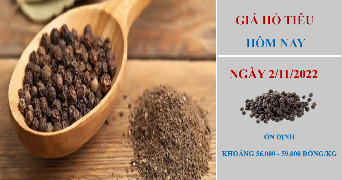 Giá hồ tiêu hôm nay 2/11/2022: Xuất khẩu 10 tháng giảm nhưng giá trị vẫn tăng