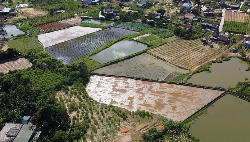 Trang trại trồng cây đào, hoa màu, nuôi cá của ông Trà ở thôn Xuân Sơn, xã Cổ Đạm. Ảnh: Đức Hùng