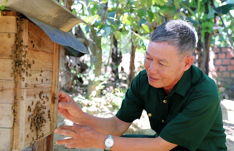 Ngoài trồng cây, ông Trà còn nuôi ong lấy mật để thỏa thú điền viên. Ảnh: Đức Hùng