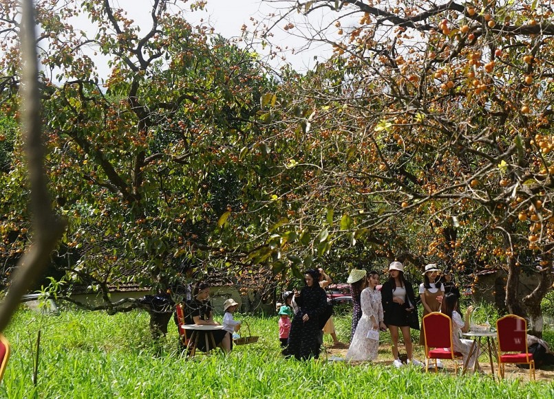 Vườn hồng của gia đình ông Nguyễn Đình Bá (xóm 8, xã Nam Anh) được nhiều du khách tìm đến.