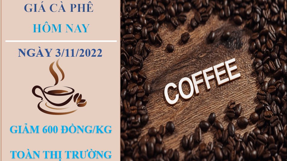 Giá cà phê hôm nay 3/11/2022: Tăng 600 đồng/kg tại các địa phương