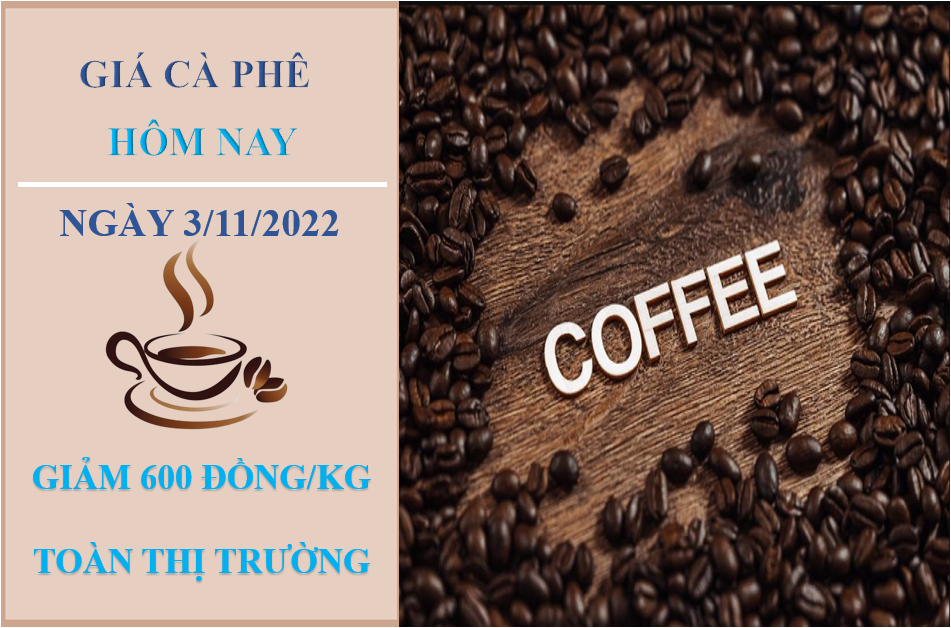 Giá cà phê hôm nay 3/11/2022: Tăng 600 đồng/kg tại các địa phương