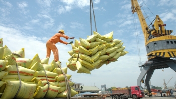Xuất khẩu gạo vượt 6 triệu tấn