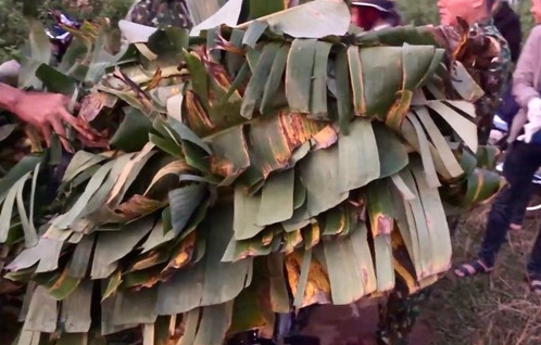 Lấy lá chuối ngụy trang để trở pháo lậu xuyên biên giới từ Lào về Việt Nam