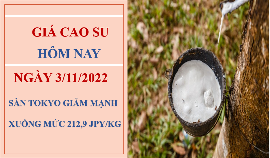 Giá cao su hôm nay 3/11/2022: Tiếp tục giảm tại Nhật Bản