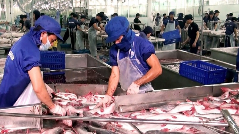 Trung Quốc sẽ tiếp tục là thị trường trụ cột và tiềm năng cho sản phẩm cá tra Việt Nam trong năm nay và năm tới