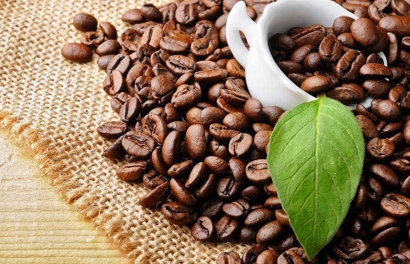 Dự báo sản lượng cà phê thế giới trong niên vụ 2021-2022 sẽ giảm 8,5 triệu bao.