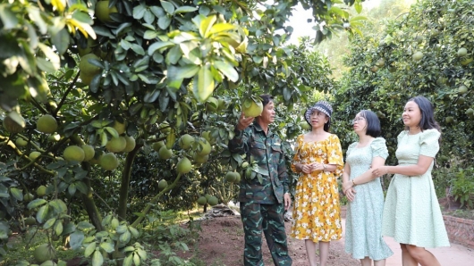 Bắc Giang: Phát động Chương trình du lịch “Lục Ngạn - Điểm hẹn mùa quả chín”