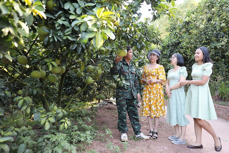 Bắc Giang: Phát động Chương trình du lịch “Lục Ngạn - Điểm hẹn mùa quả chín”