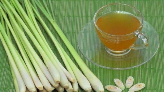 Một số công dụng của củ Sả đối với sức khỏe