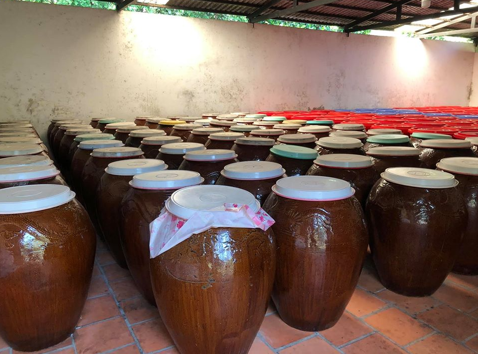 Loại quả vốn đầy rừng không ai nhặt, đem ngâm rượu thành đặc sản Phú Quốc