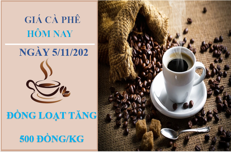 Giá cà phê hôm nay 5/11/2022: Đảo chiều tăng 500 đồng/kg