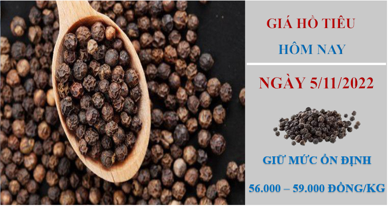 Giá hồ tiêu hôm nay 5/11/2022: Không xuất hiện điều chỉnh mới