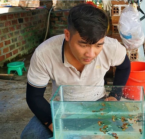 Anh Lương Tiên Sinh ở xã Tam Đàn, huyện Phú Ninh, tỉnh Quảng Nam đã hiện thực hóa dự định nuôi cá làm giàu. Ảnh: T.H.
