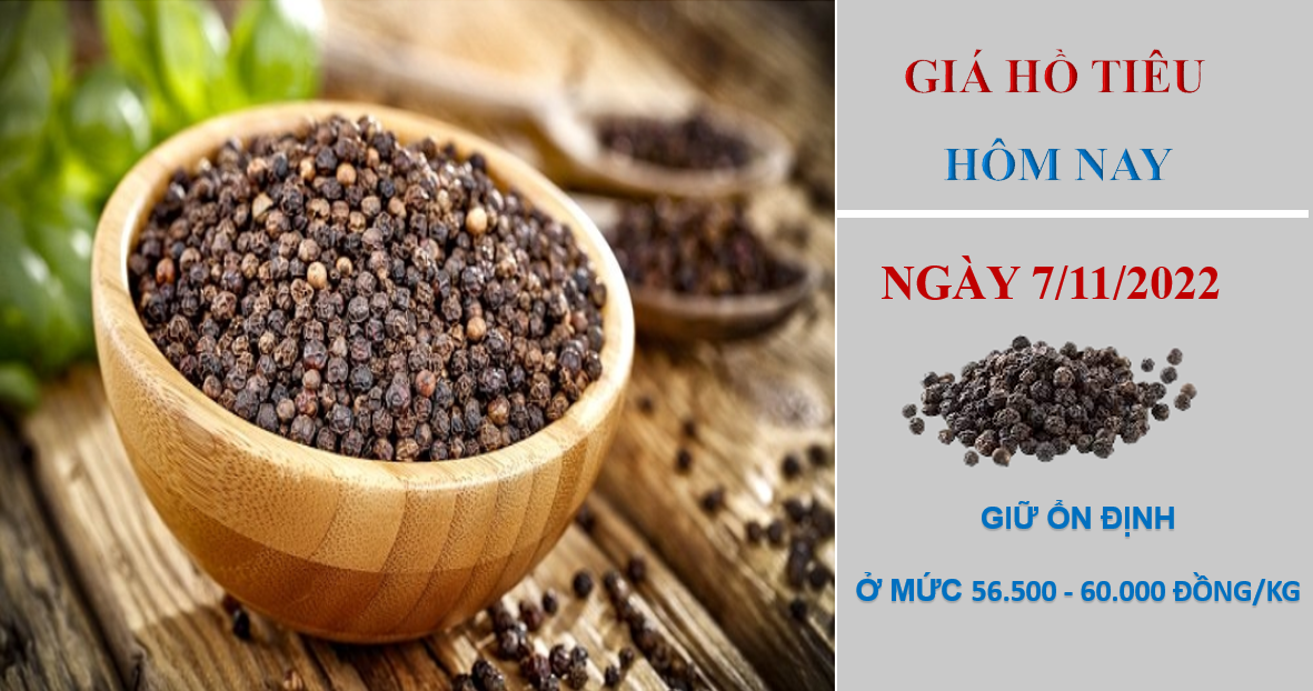 Giá hồ tiêu hôm nay 7/11/2022: Giữ ổn định ở mức 56.500 - 60.000 đồng/kg