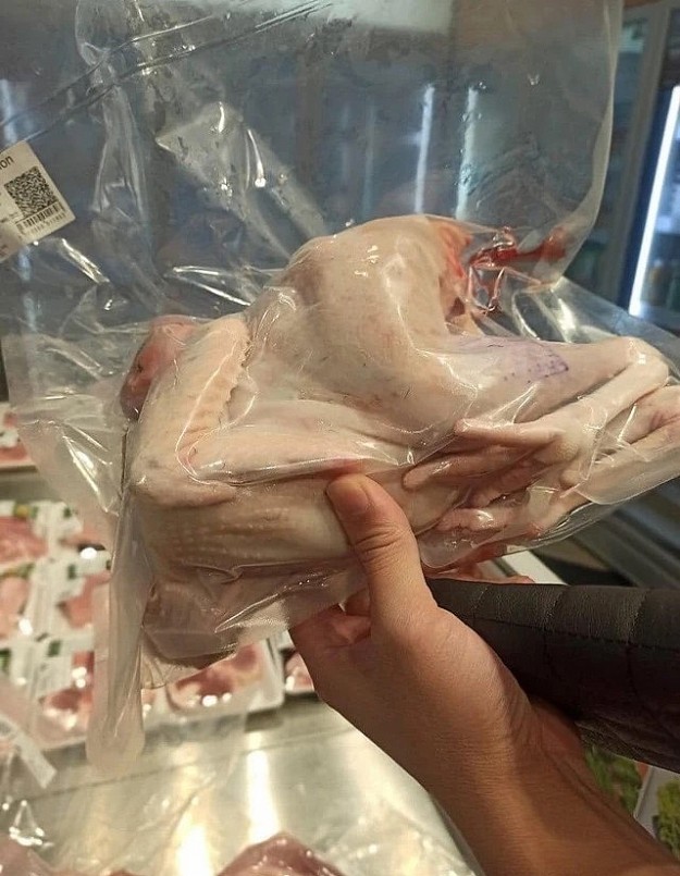 Một con gà đi bộ ăn chuối của HAGL nặng khoảng 1,6-2kg.