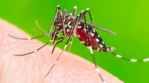Những điều tuyệt đối không nên làm khi mắc sốt xuất huyết Dengue