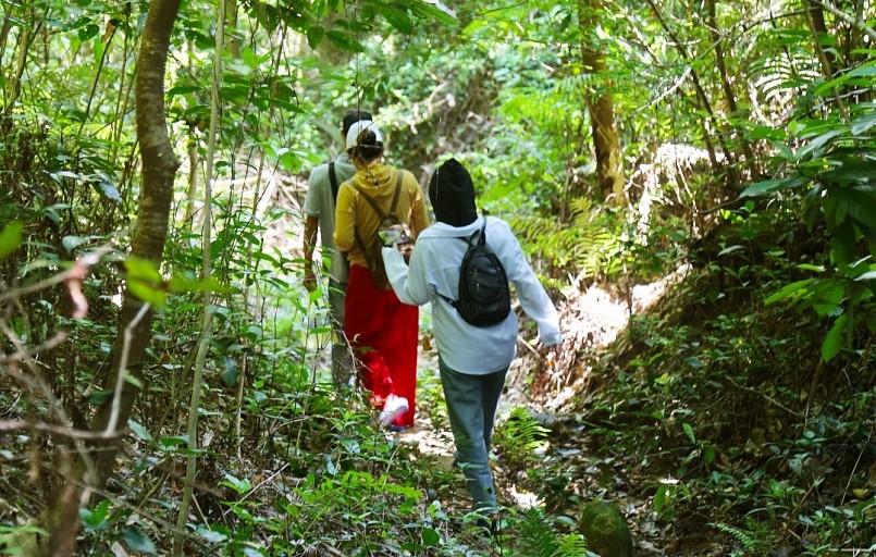 Du khách có thể tản bộ trong vẻ đẹp hoang sơ của núi rừng trên đảo Thanh Lân.