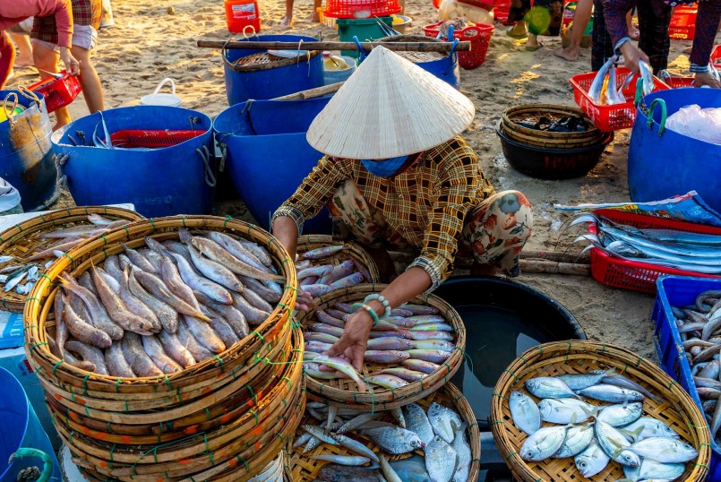 Chợ hải sản lớn nhất Quảng Nam họp vào lúc giao nhau giữa ngày và đêm