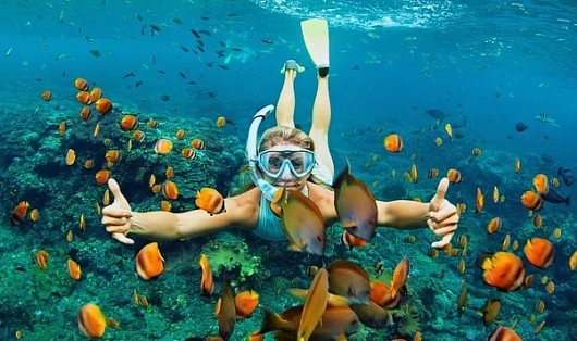 Đến Cô Tô đừng quên lặn biển ngắm vẻ đẹp huyền ảo nơi đại dương