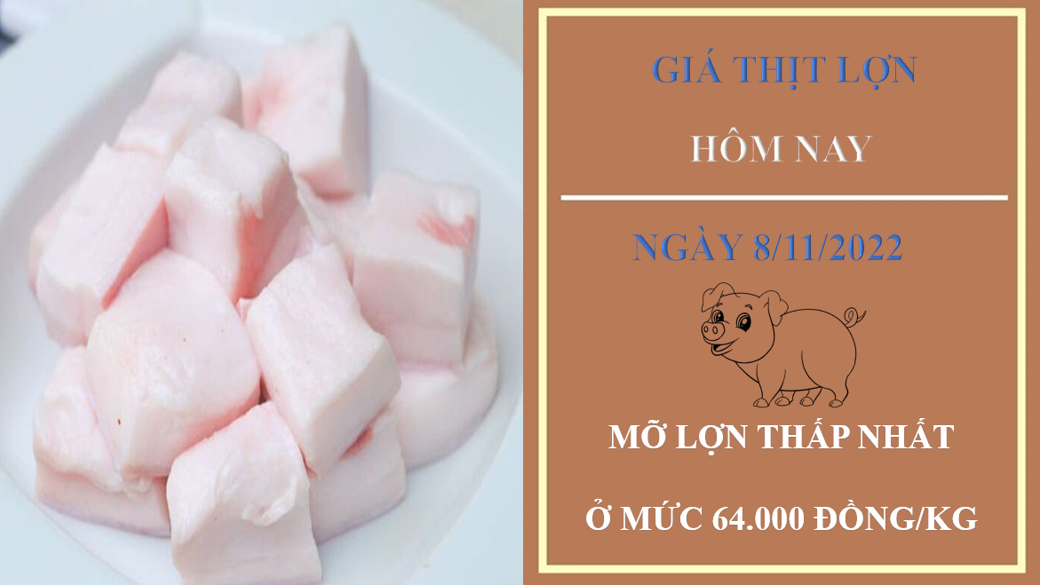 Giá thịt lợn hôm nay 8/11/2022: Mỡ lợn thấp nhất ở mức 64.000 đồng/kg