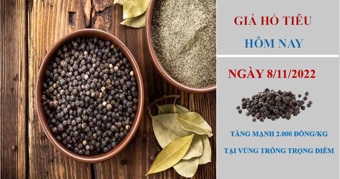 Giá hồ tiêu hôm nay 8/11/2022: Tăng mạnh tại vùng trồng trọng điểm