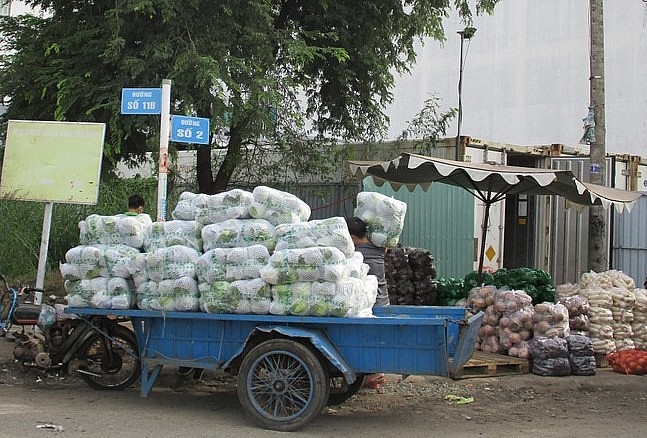 Bắp cải Trung Quốc (trên xe) đóng gói chuyên nghiệp bên cạnh nông sản Việt Nam đóng túi đơn giản.