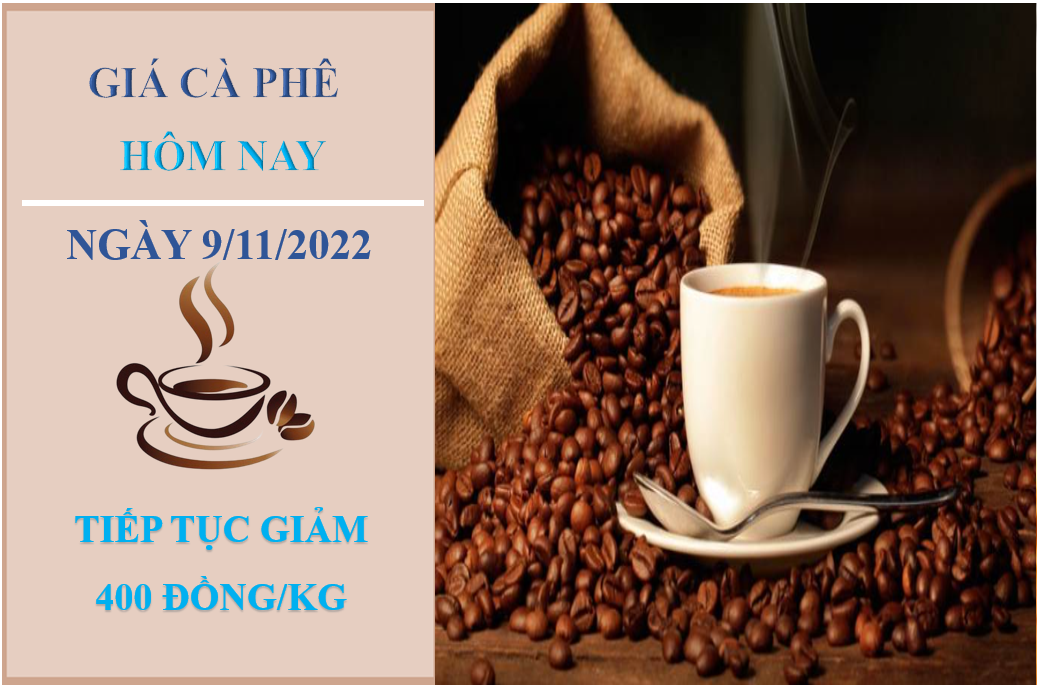 Giá cà phê hôm nay 9/11/2022: Tiếp tục giảm trung bình 400 đồng/kg