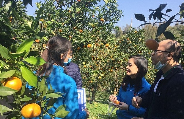 Mô hình trồng cam canh trên địa bàn huyện Bắc Sơn được các cấp bộ Đoàn tham quan, học hỏi .