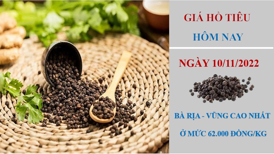 Giá hồ tiêu hôm nay 10/11/2022: Không ghi nhận điều chỉnh mới