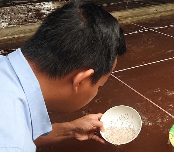Công ty Thông Thuận là đơn vị sản xuất giống tôm thẻ chân trắng đầu tiên trên địa bàn Hà Tĩnh.