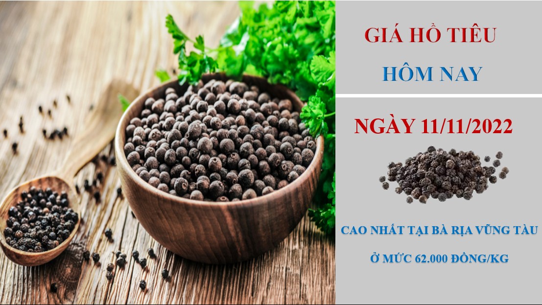 Giá hồ tiêu hôm nay 11/11/2022: Không có thay đổi mới