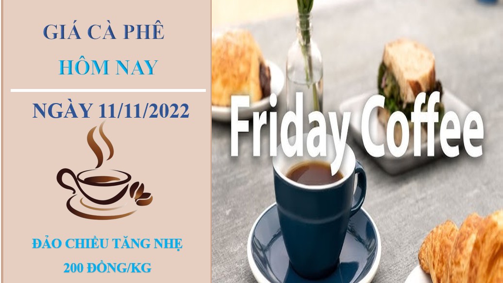 Giá cà phê hôm nay 11/11/2022: Điều chỉnh tăng 200 đồng/kg tại các địa phương