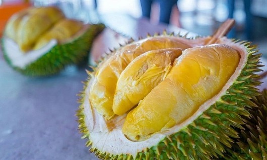 Vì sao sầu riêng Musang King bán 6 triệu đồng/quả vẫn cháy hàng