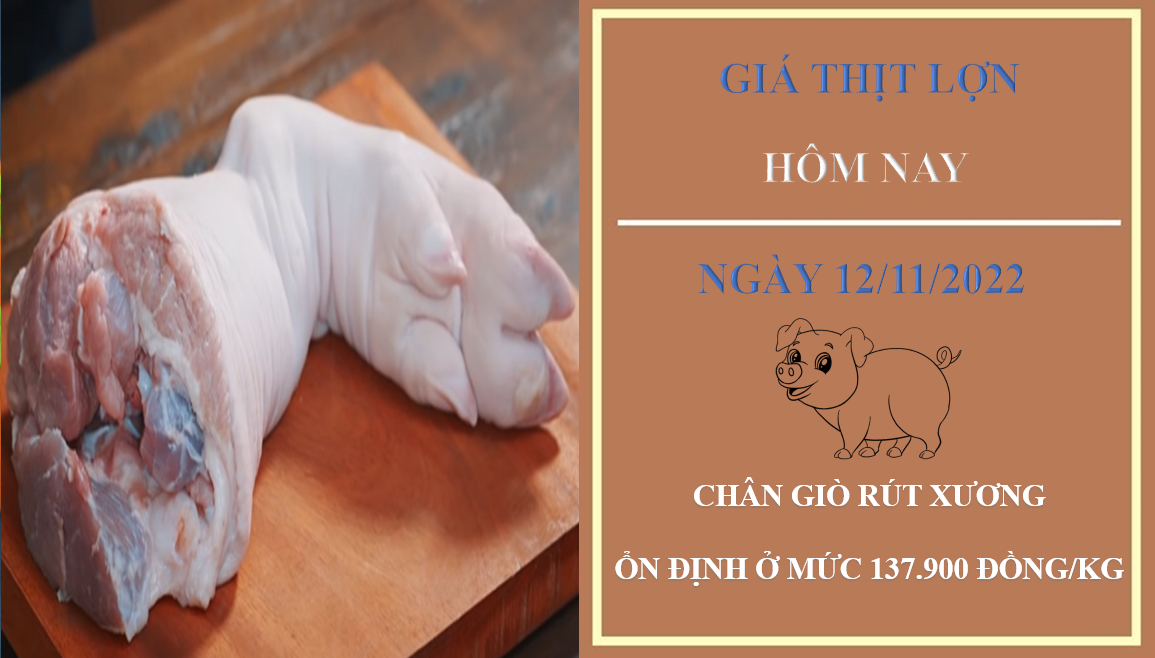 Giá thịt heo hôm nay 12/11/2022: Đứng yên tại Công ty Thực phẩm bán lẻ