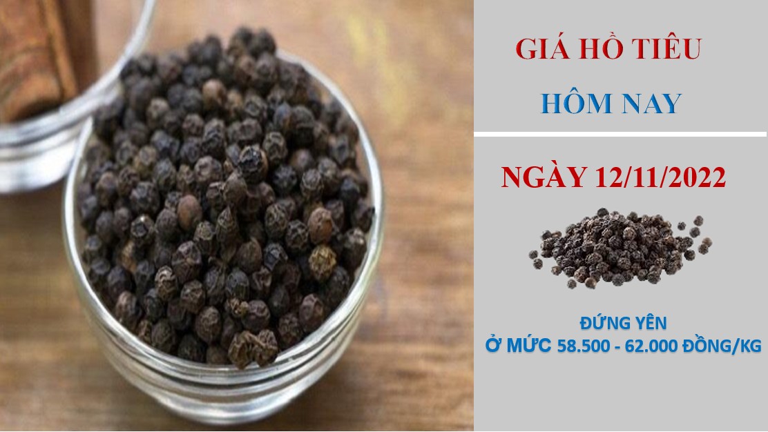 Giá hồ tiêu hôm nay 12/11/2022: Triển vọng tốt từ thị trường Trung Quốc