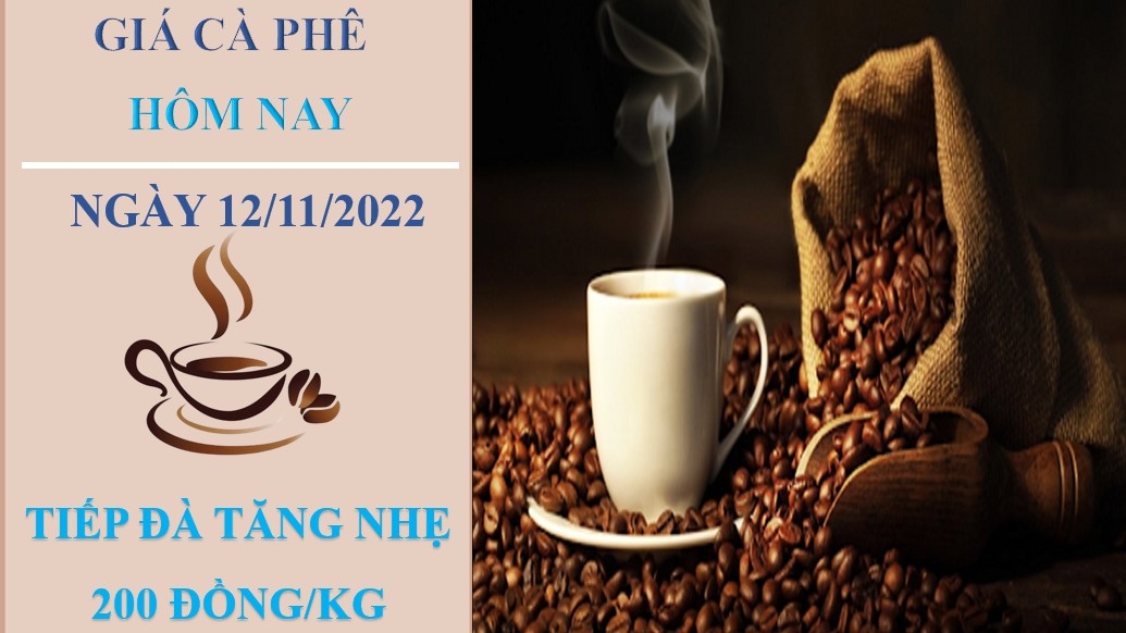 Giá cà phê hôm nay 12/11/2022: Tăng liên tiếp 2 ngày, tiến gần mốc 41.000 đồng/kg