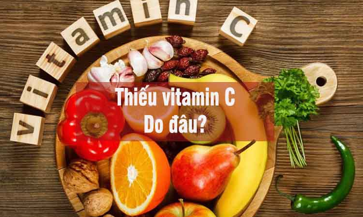 Vitamin C có tác dụng gì? Thực phẩm nào chứa nhiều vitamin C nhất?