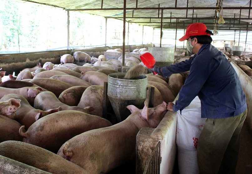 đó có hai kịch bản gồm giá thịt lợn tăng thêm 10% hoặc 15%.