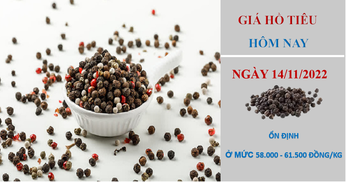 Giá hồ tiêu hôm nay 14/11/2022: Đi ngang tại các địa phương