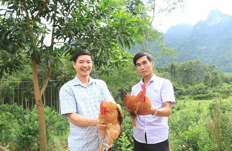 Giám đốc HTX Trần Phú Nguyễn Văn Tuân (bên phải) giới thiệu quy trình nuôi gà đồi sạch.