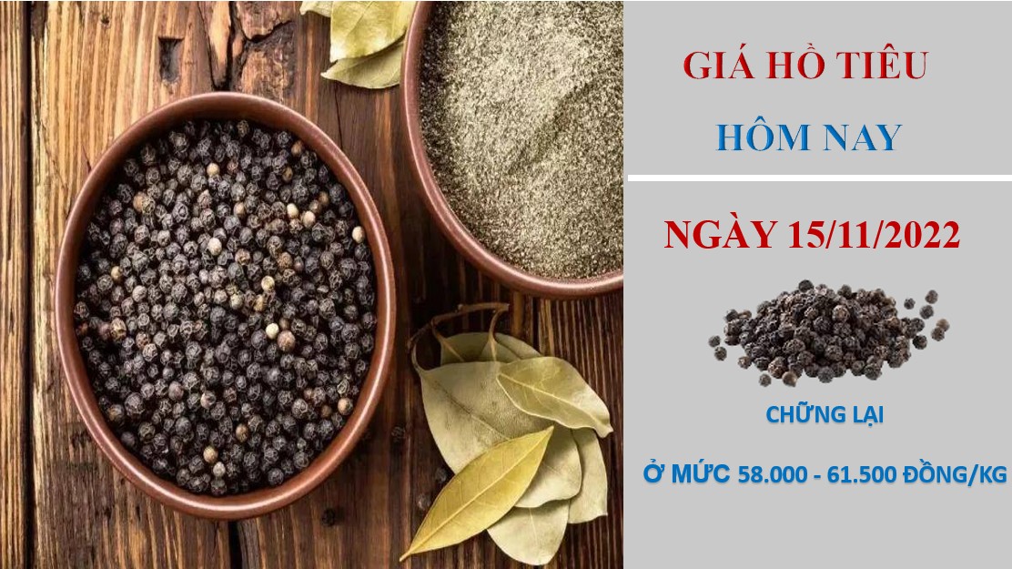 Giá hồ tiêu hôm nay 15/11/2022: Chững lại tại các vùng trọng điểm