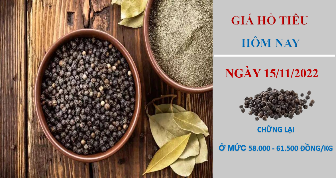 Giá hồ tiêu hôm nay 15/11/2022: Chững lại tại các vùng trọng điểm