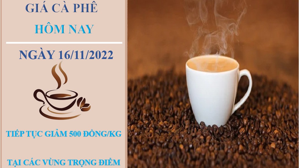 Giá cà phê hôm nay 16/11/2022: Giảm xuống dưới 40.000 đồng/kg