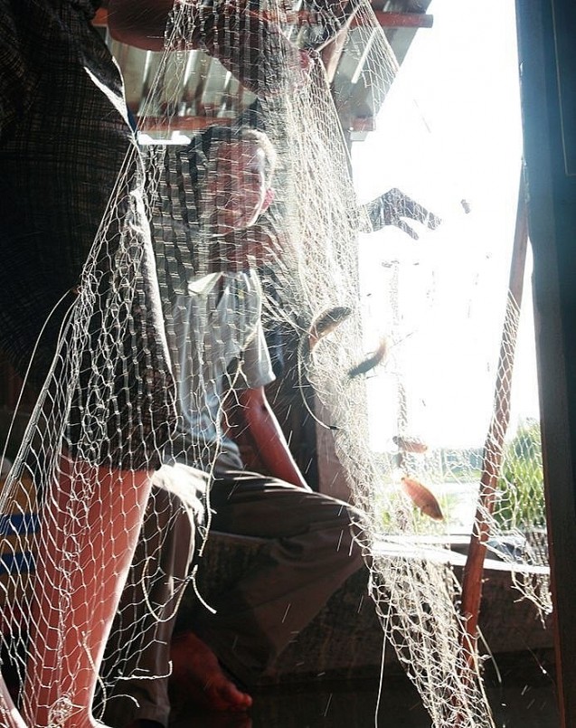 Du khách thử tự tay gỡ cá dính lưới được thả ngay dưới sàn nhà bếp ngập trong nước lũ. Cá mùa lũ thường gặp có cá rô, cá sặc, cá thác lác…