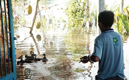 Độc đáo miền Tây: Thả lưới trên hiên nhà, gỡ cá dưới bếp mùa nước nổi