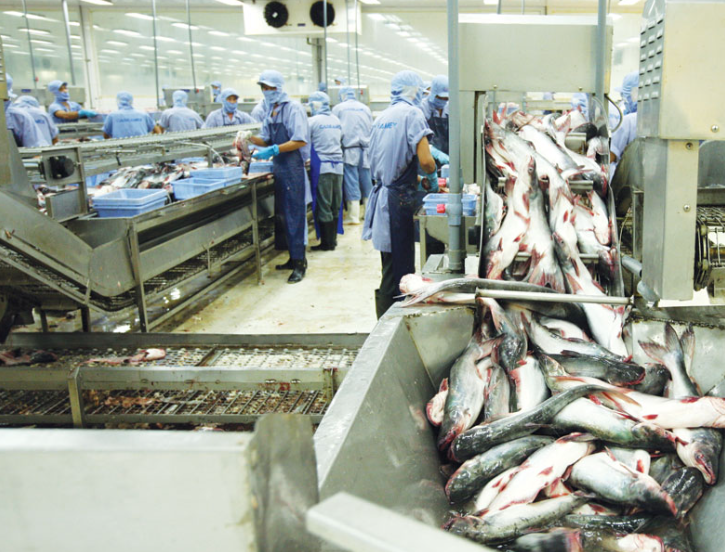 Xuất khẩu cá tra tháng 10 giảm so với đầu năm 2022
