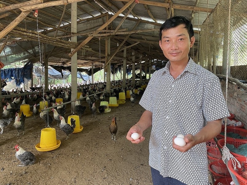 Anh Trí tại một trong những khu nuôi gà với trứng gà Ai Cập ngon nổi tiếng.