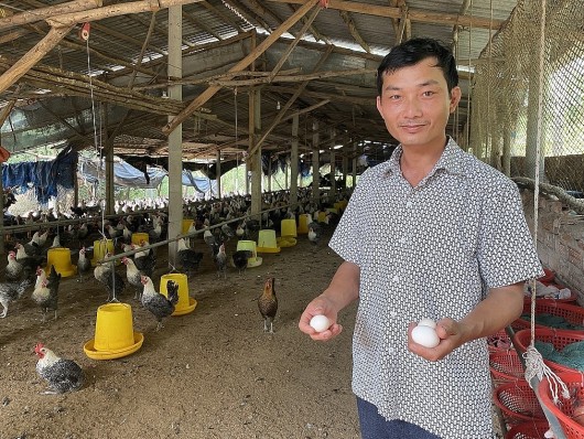 Chuyện về người tù chuyển hướng nuôi gà trở thành tỷ phú