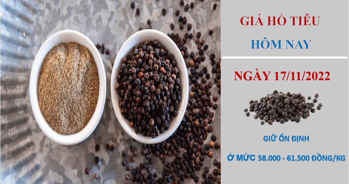 Giá hồ tiêu hôm nay 17/11/2022: Đứng Yên phiên thứ 4 liên tiếp